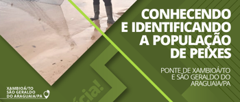 Foto da Notícia